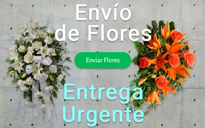 Envío de Centros Funerarios urgente a los tanatorios, funerarias o iglesias de A Coruña